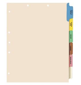 Chart Tab Dividers - 6 Tab Set